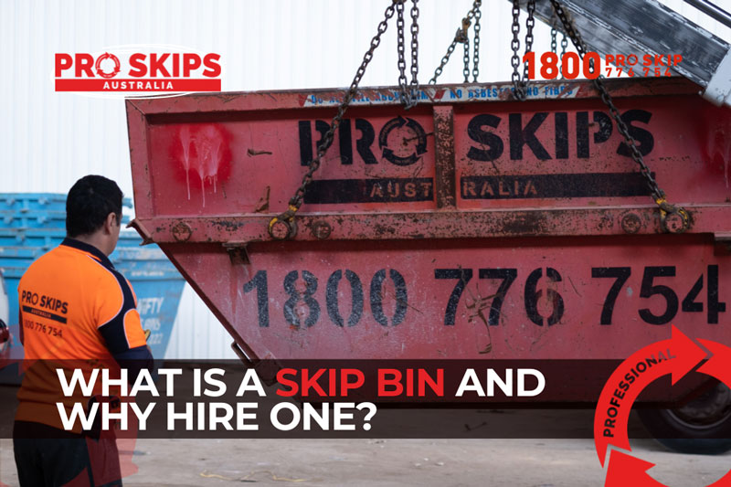 what is a skip bin